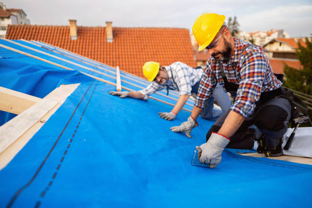 Quick and Trustworthy Emergency Roof Repair Services in Pine Island, MN