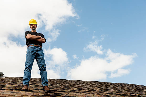 Best Commercial Roofing Services  in Pine Island, MN